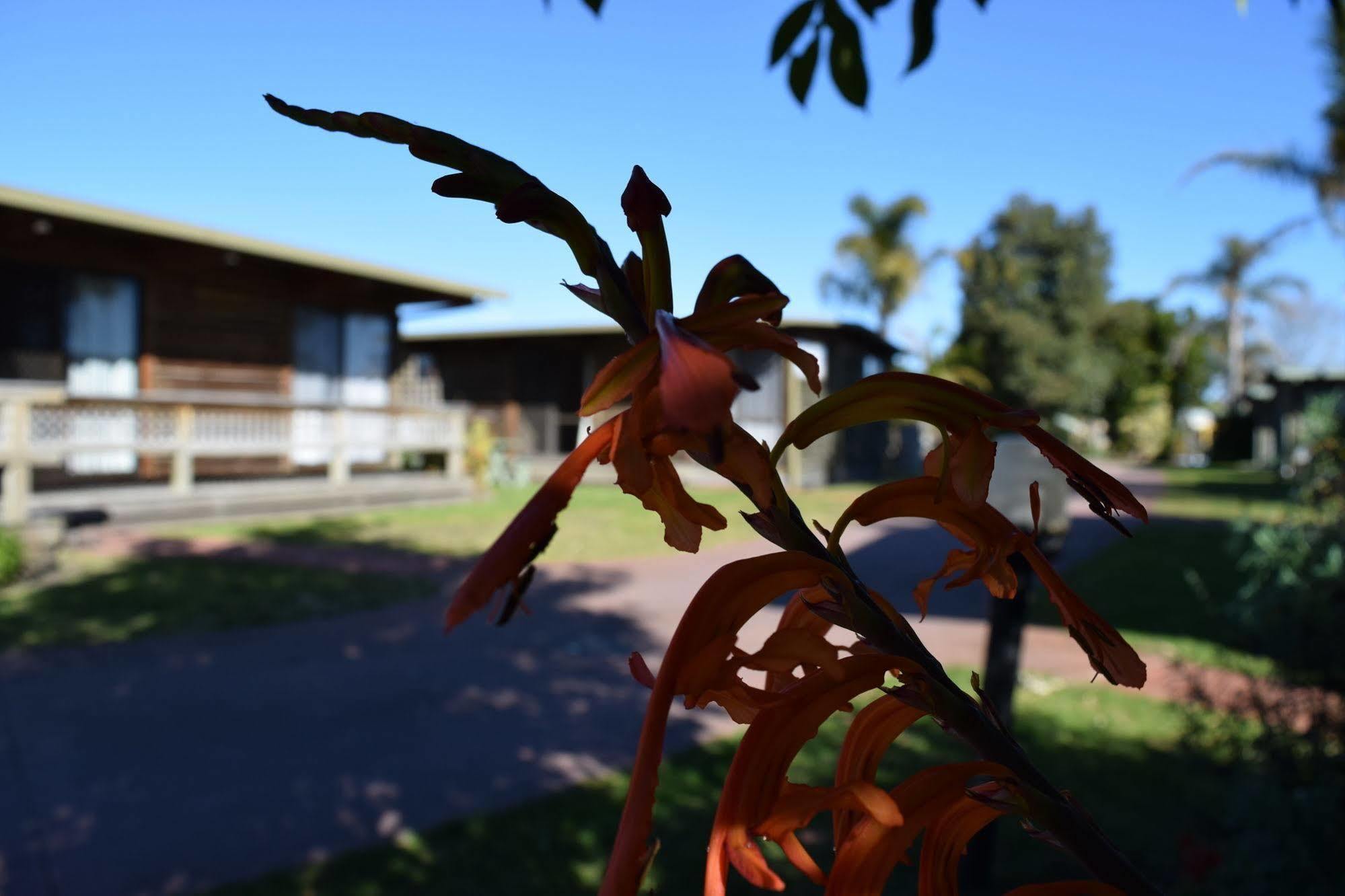 Lazy Acre Log Cabins Lakes Entrance Exterior foto